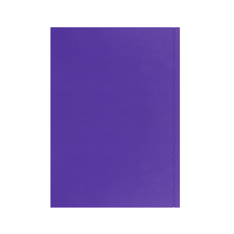 Collins Essential 2027 A4 week to view diary purple cover and spine detail