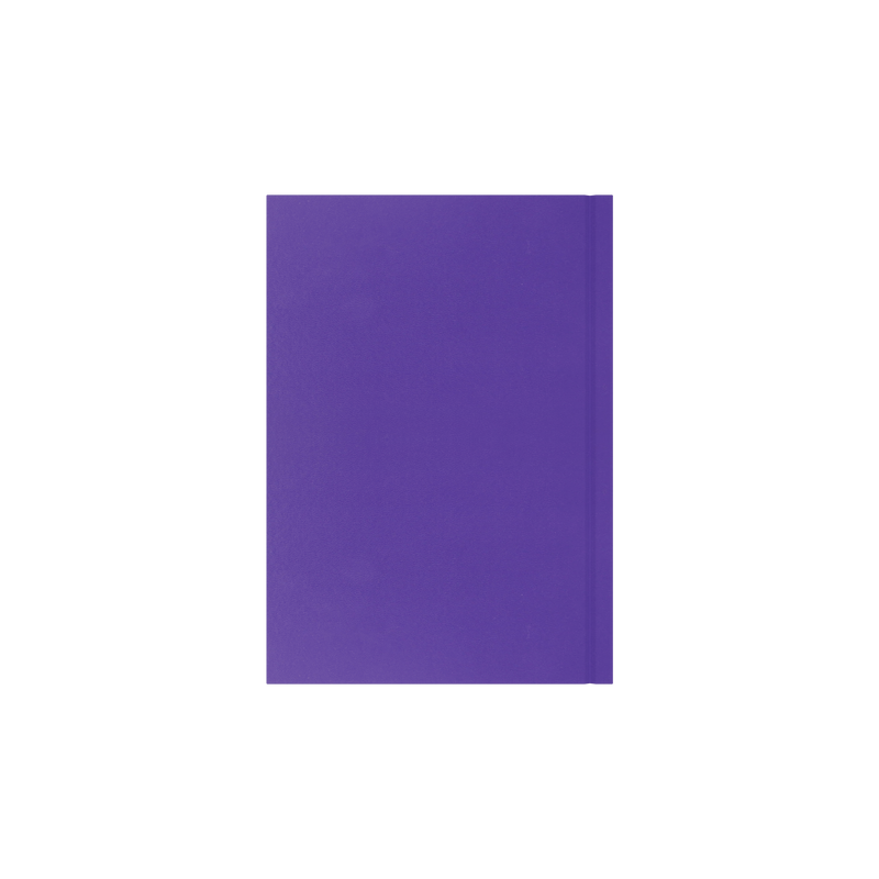 Collins Essential 2027 A5 day to a page diary purple cover and spine detail