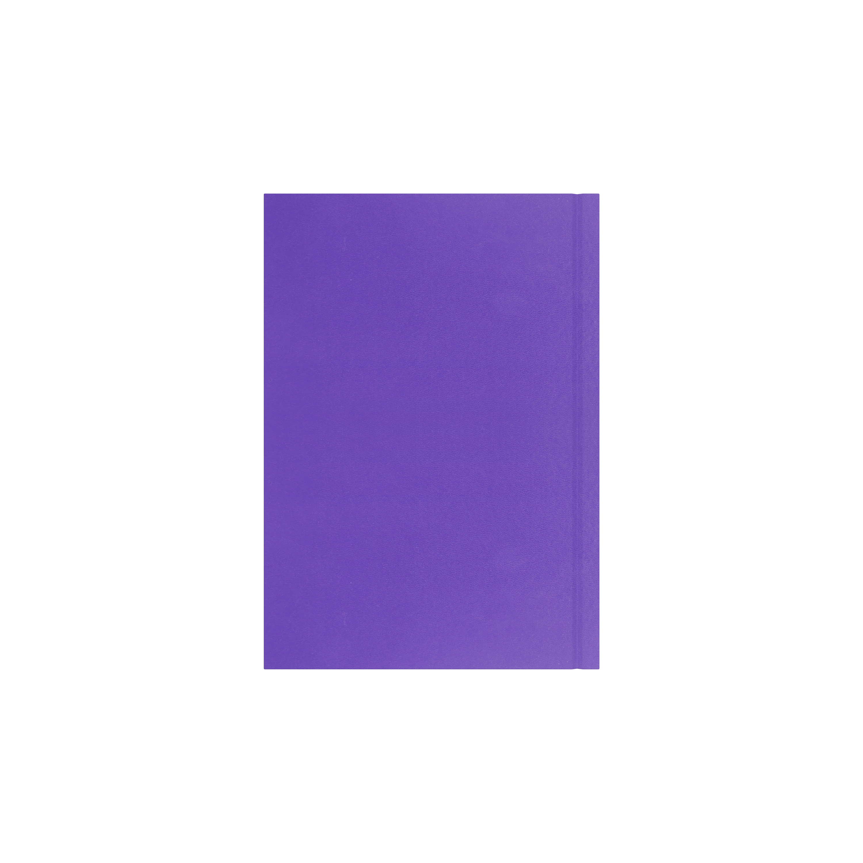 Collins Essential 2027 A5 week to view diary purple cover and spine detail