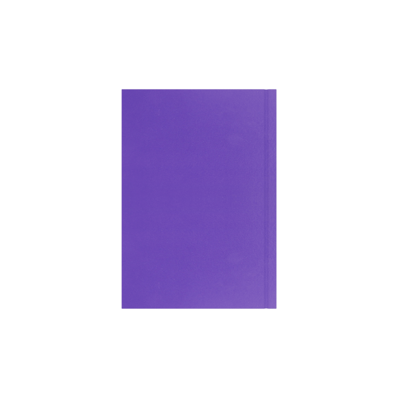 Collins Essential 2027 A5 week to view diary purple cover and spine detail