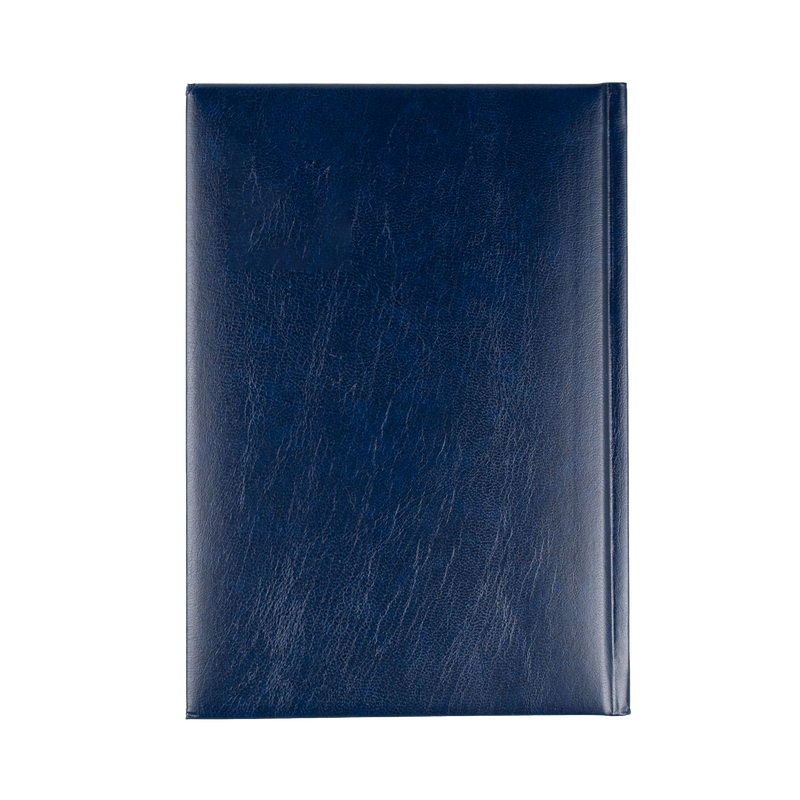 Sterling 2027 A5 Day to Page Blue interior layout