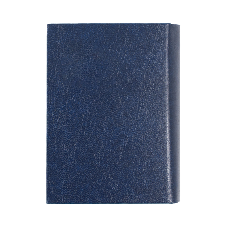 Sterling 2027 A7 Day to Page Blue interior layout