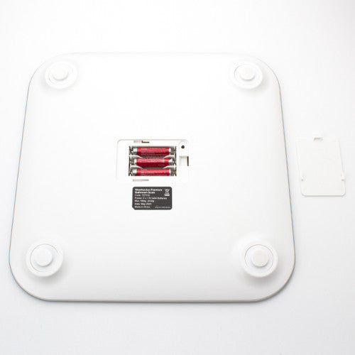 Compass Slim Scale Ivory