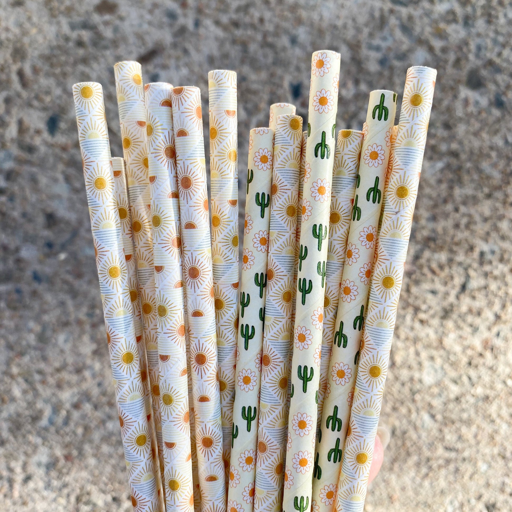 Creative Cafe Co 6mm regular paper straws cafe wholesale bulk strong durable