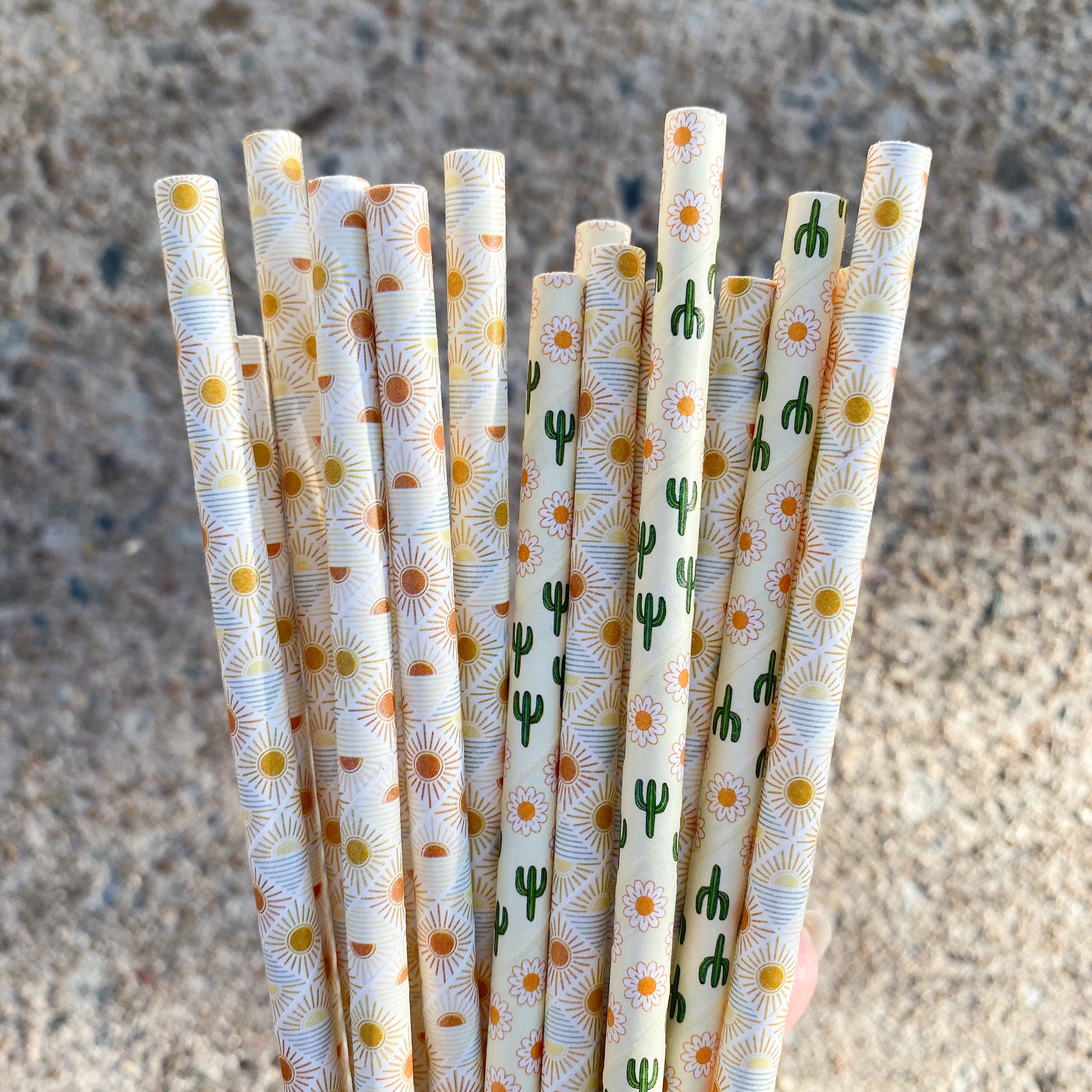 Creative Cafe Co 6mm regular paper straws cafe wholesale bulk strong durable
