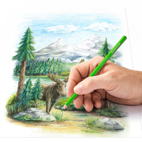 Staedtler 146C M12 Coloured Pencils Tin of 12