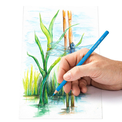 Staedtler 14610C M24 Watercolour Pencils Tin of 24