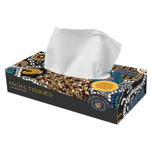 Cultural Choice 2 Ply Facial Tissue 100 Sheets Carton of 48