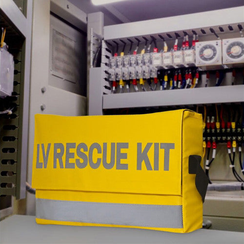 Custom Regulator Low Voltage Rescue Kit