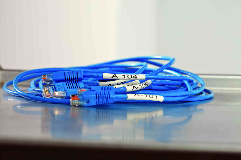 Blue Ethernet cables on a reflective surface with a white background