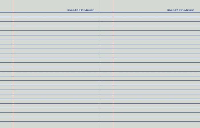 Sheet of lined paper with red margins on a white background