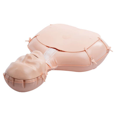 CPR Manikins & Accessories