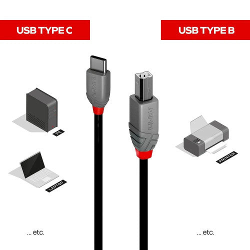 Lindy 0.5m USB 2.0 Type C to B Cable Anthra Line