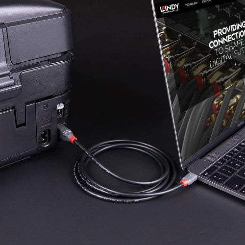 Lindy 2m USB 2.0 Type C to B Cable Anthra Line
