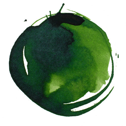 Liquitex Acrylic Inks 315 Sap Green Permanent 30ml