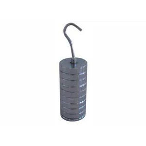 Slotted Weights 10 x 10g with Hanger