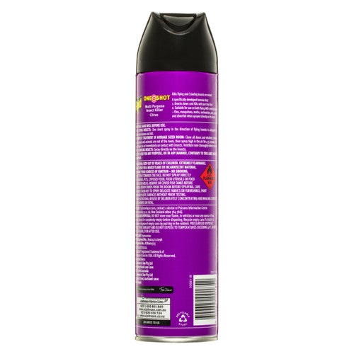 Raid One Shot Multipurpose Insect Killer Citrus 375g x 12