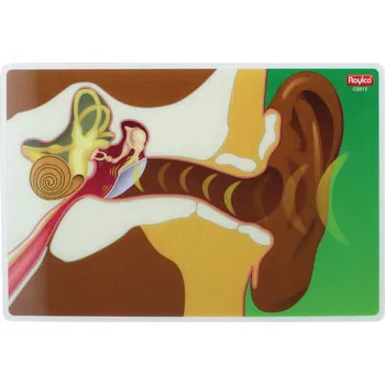 My Body In Action Animation Cards Set of 10-4