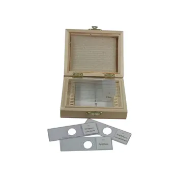 Prepared Slide Set Mixed Bacteria Set of 12-1