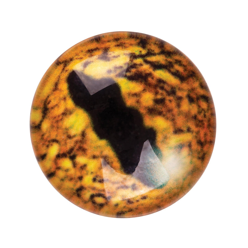 Reptile Eyes 15mm Pack of 30 Glass Domed Cabochon Snake Eyes-3