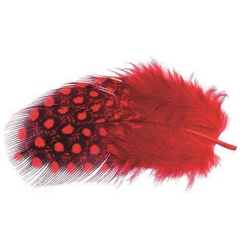 Single red spotted guinea fowl feather