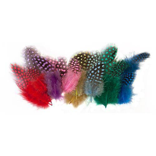 Pile of guinea fowl feathers in assorted colours