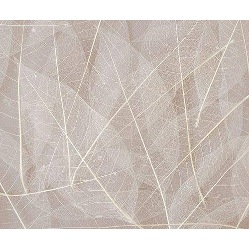 Layered Zart natural skeleton leaves