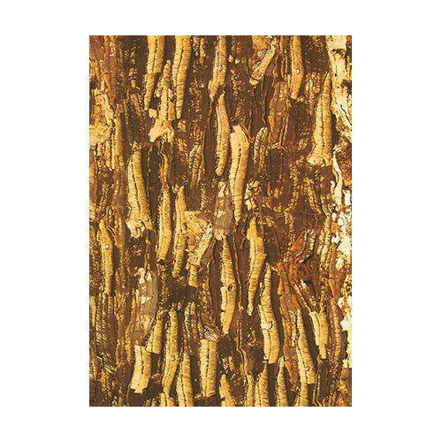 Zart bark pattern paper sheet with a yellow and brown bark design