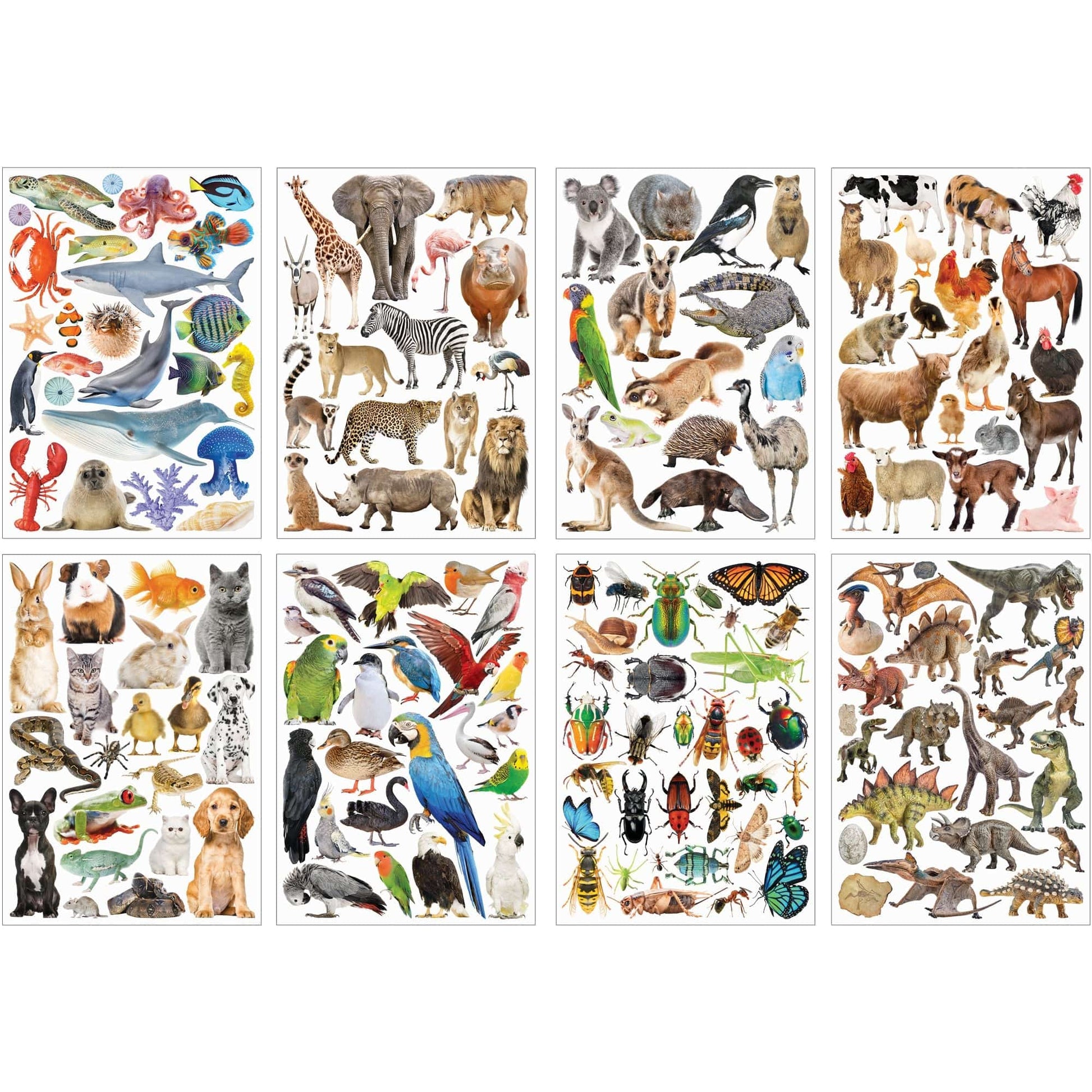 Zart Collage Collections Creatures Pack of 40 Printed Cut-Out Papers-1