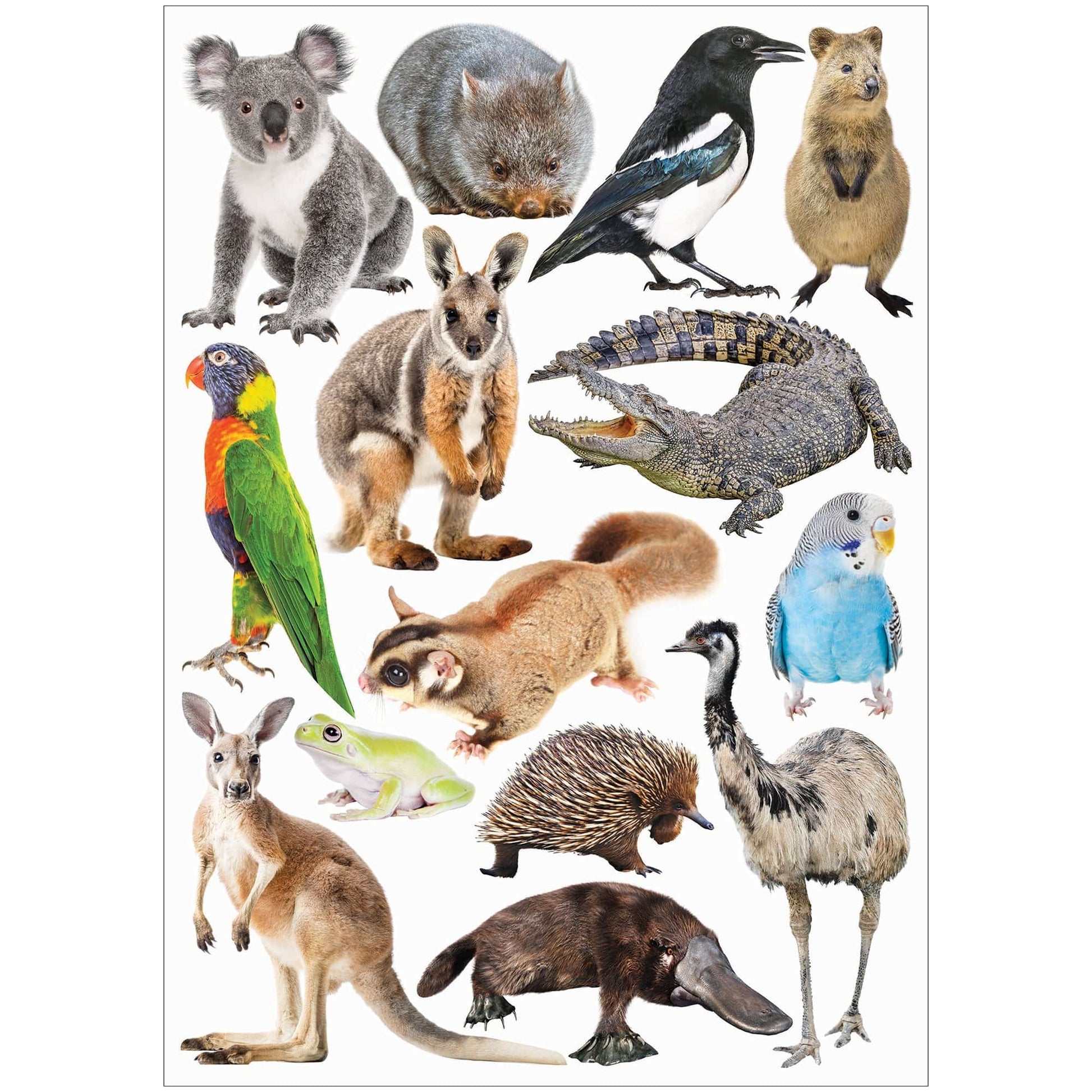 Zart Collage Collections Creatures Pack of 40 Printed Cut-Out Papers-4